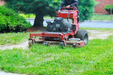 Çim biçme makinesine binmek iyi korunmuş bahçedeki çimleri verimli bir şekilde buduyor.