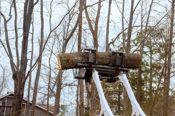 Ağaç hizmeti makinesi ormanda çalışır, ağaçların arasında önemli bir kütük kaldırır.