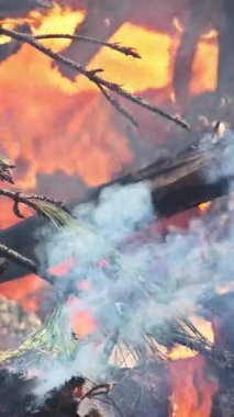 Alevler düşen dalları yutar, orman yangını yayıldıkça havada dönen dumanla birlikte..