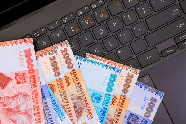 Laptop klavyesinde Tanzanya şilini nakit banknotları, bir ofiste çevrimiçi finansman dijital işlemleri temsil.