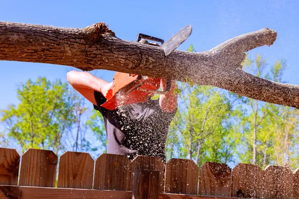 Adam, açık mavi gökyüzünün altında tahta çitin üzerindeki büyük ağaç dalını kesmek için testere kullanıyor..