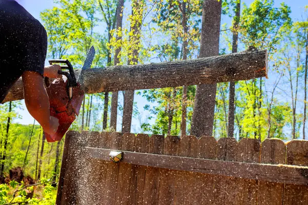 Hizmetçi ağaç gövdesini kesmek için elektrikli testere kullanıyor. Etrafı çitlerle çevrili talaş sinekleri gibi..