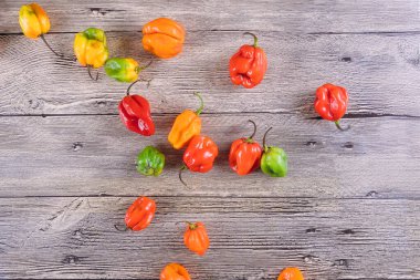 Ahşap yüzeye dağılmış çeşitli habanero biberleri iştah açıcı bir görüntü oluşturur..