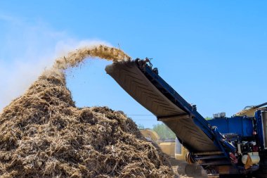 Büyük ekipmanlar, inşaat için arazi temizleme alanındaki odun yongası endüstrisinde organik malzeme dağıtıyor.