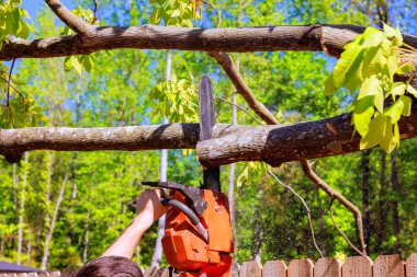 Orman işçisi ağaç kütüğünü testere ile keser ve orman ortamında talaş uçurur..