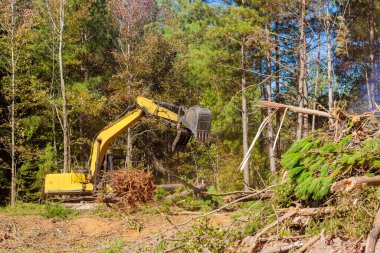 Kazıcı, ilerideki inşaata hazırlanmak için ormanlık alandaki enkazı verimli bir şekilde temizliyor..
