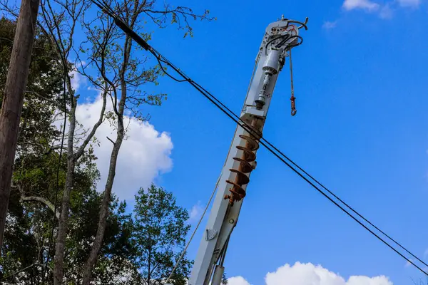 Elektrik işçileri arasında elektrik hatlarını korumak için elektrik operatörü kamyonu bir auger kullanır.