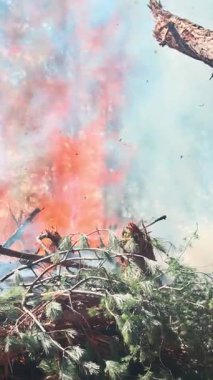 Büyük makineler dalları temizler ve kontrollü bir ateşi tutuşturur. Mavi gökyüzüne parlak alevler ve duman gönderir..