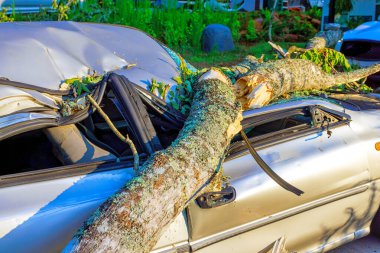 Büyük ağaç dalı park halindeki arabanın üzerine düşmüş. Son fırtınadan sonra mahallede ciddi hasara yol açmış..