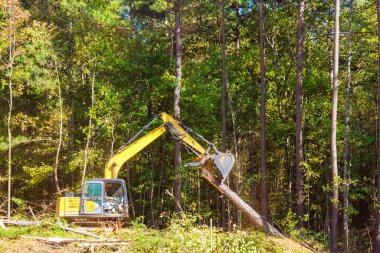 Kazıcı, inşaat alanındaki endüstriyel verimliliği vurgulayarak sık ormandaki ağacı kesmek için gayretle çalışıyor.