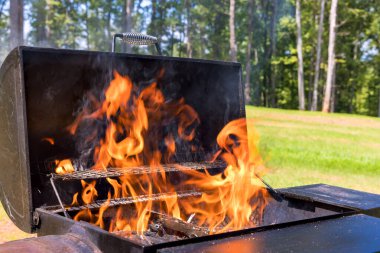 Yeşil arka bahçede yaz güneşi parlarken alevler ızgaradan dans eder..