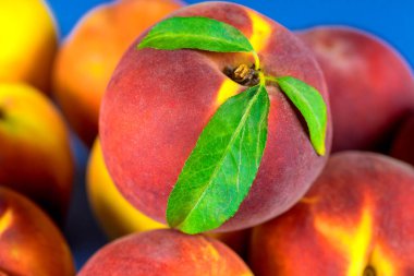 Yeşil yapraklı sulu şeftaliler canlı mavi yüzeyde bir araya toplanır..