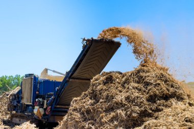 Büyük makine, tarım alanındaki ahşap maddeyi toprak temizleme alanının altında toz bulutu yaratıyor..