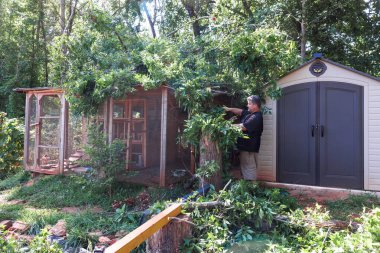 Son fırtınadan sonra insan kuş kafesini onarmak için çalışıyor. Çevresindeki bitkiler zarar gördü..