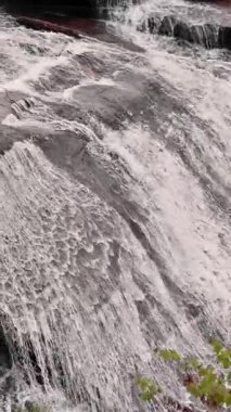 Berrak şelale, parlak gün ışığında yemyeşil yemyeşil ile çevrili engebeli kaya yüzeyinden aşağı doğru akmaktadır..