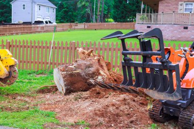 Ağaç gövdesi kesme etkinliği, iş günü taze toprağa yerleştirilmiş ekipmanlarla bahçede meydana gelir..