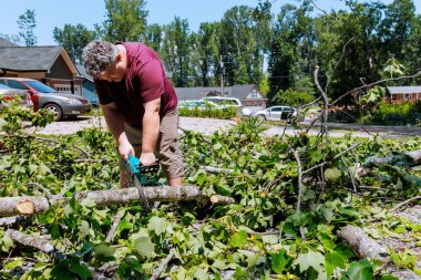 Müteahhit, fırtınadan sonra bahçedeki ağaç dallarını kesmek için testere kullanıyor.