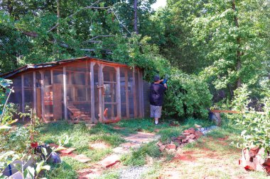 Müteahhit ağaçtan düşen dalları kaldırıyor. Arka bahçedeki tavuk kümesinin etrafını güçlü hortumlardan temizliyor.