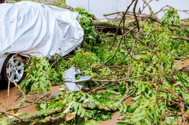 Şiddetli fırtınadan sonra, araba düşen dallarla kaplanır, gök gürültüsü ve güçlü fırtına hava olaylarının ardından ortaya çıkar..