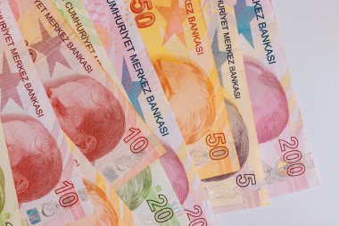 Türk Lirası banknotları 5, 10, 50, 200 tasarımlarının ayrıntılarını vurgulayarak düzgünce sergilendi.