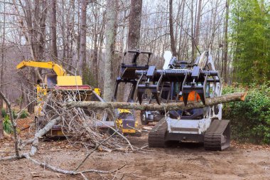 Operatörler, kış koşullarında devrilen ağaçları ormandan kaldırmak için özel ekipman kullanırlar..