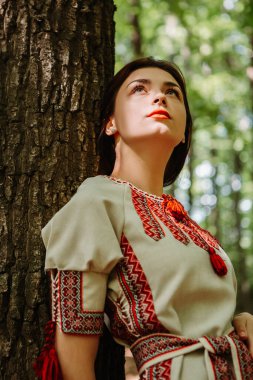 Vertical image of woman dressed traditional fashionable ukrainian embroidery vyshyvanka dress shirt ethnic costume cloth standing posing in the forest. Ukrainian culture, patriotism.