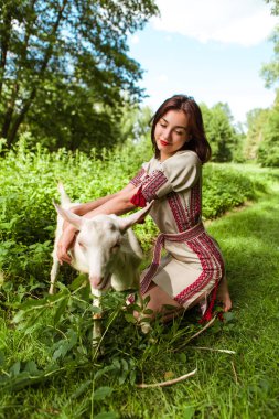 Vertical image woman dressed traditional fashionable ukrainian embroidery vyshyvanka dress shirt ethnic costume cloth feeding goat with leaves grass in the forest village. Ukrainian culture