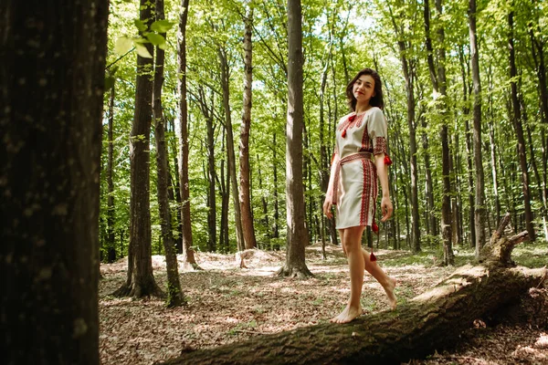 Vertical image of woman dressed traditional fashionable ukrainian embroidery vyshyvanka dress shirt ethnic costume cloth lying standing posing on the log in the forest. Ukrainian culture, patriotism