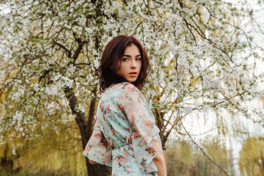 Woman looking over the shoulder dressed flowery dress posing near apple cherry tree blossoms blooming flowers in the garden park in early spring nature. Fashion, girl model with black hair