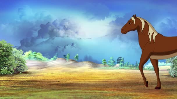 Wild Brown Cavallo Cammina Sulla Prateria Una Giornata Sole Filmati — Video Stock