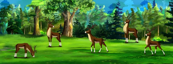 晴れた夏の日に森の中で鹿の群れ デジタル絵画の背景 イラスト — ストック写真