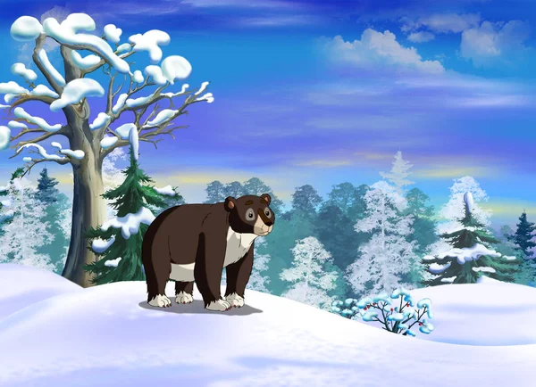 Braunbär Auf Einer Waldlichtung Einem Wintertag Digitale Malerei Hintergrund Illustration — Stockfoto