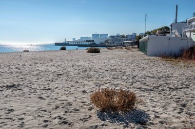 Odessa, Ukrayna 28.10.2022. Güneşli bir sonbahar gününde Odessa 'da terk edilmiş çimenli Lanzheron plajı.