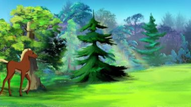 Kahverengi Tay güneşli bir günde ormanda yürüyor. El yapımı HD görüntüler, hareket grafikleri