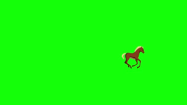 Brown Foal Galopa Tiro Escuro Imagens Animadas Artesanais Isoladas Tela — Vídeo de Stock