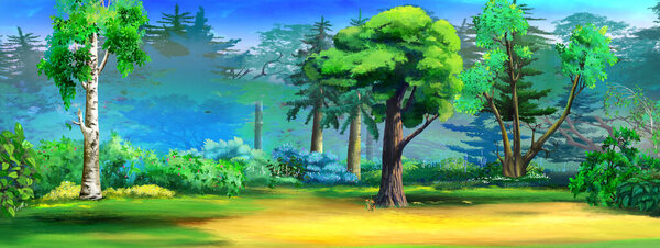 Trees and bushes in the forest on a sunny day. Digital Painting Background, Illustration.