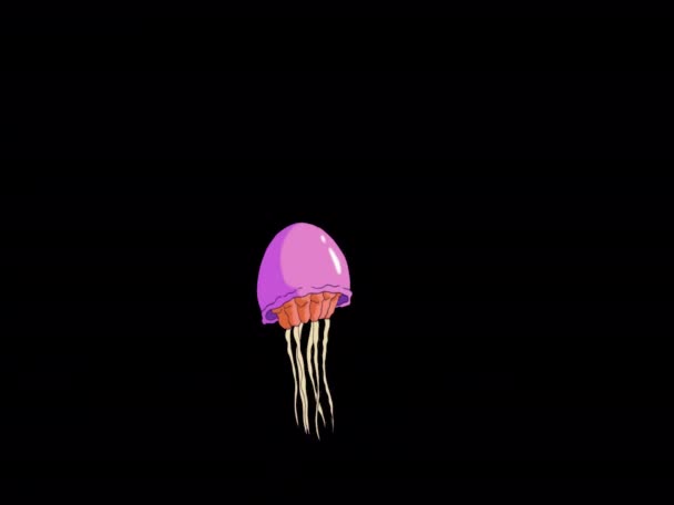 Różowa Meduza Pływa Ręcznie Robione Animowane Filmy Izolowane Kanale Alfa — Wideo stockowe