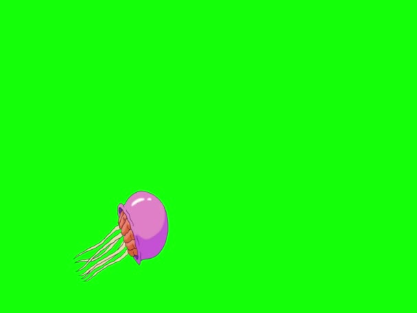 Pink Jellyfish Pływa Chroma Key Ręcznie Robione Animowane Filmy Izolowane — Wideo stockowe