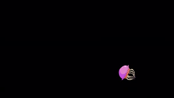 Pink Jellyfish Nada Artesanal Animado Looped Imagens Isoladas Canal Alfa — Vídeo de Stock