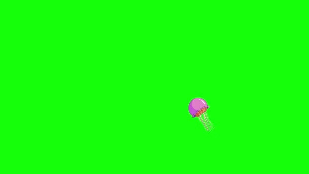 Pink Jellyfish Nada Croma Key Imágenes Bucle Animadas Hechas Mano — Vídeo de stock