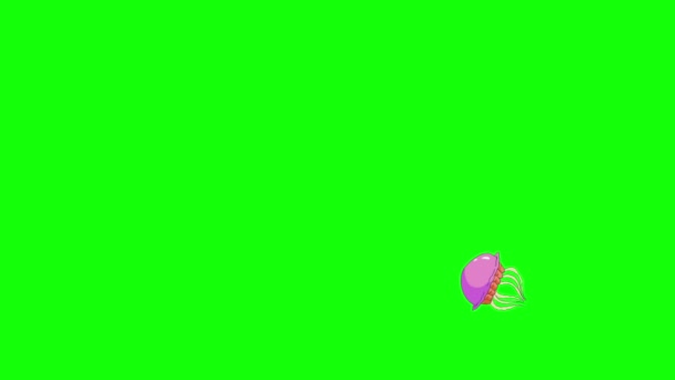 Pink Jellyfish Swims Chroma Key Handmade Animated Looped Footage Isolated — Stock Video