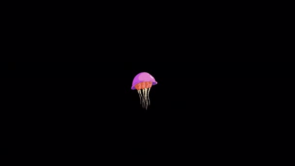 Różowa Meduza Pływa Ręcznie Robiony Animowany Materiał Izolowany Kanale Alfa — Wideo stockowe