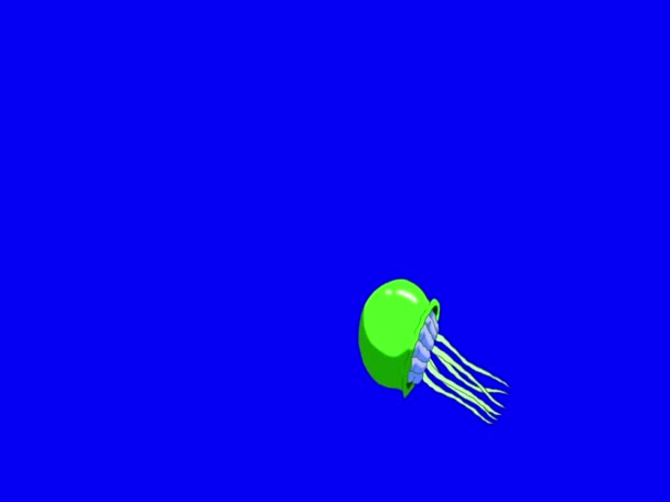 Yeşil Denizanası Krom Anahtar Yüzer Mavi Ekranda Yapımı Görüntüler Izole — Stok video