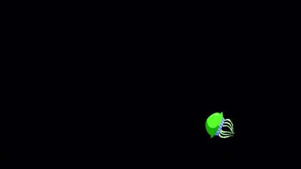 Medusa Verde Nada Imágenes Bucle Animadas Hechas Mano Aisladas Canal — Vídeos de Stock