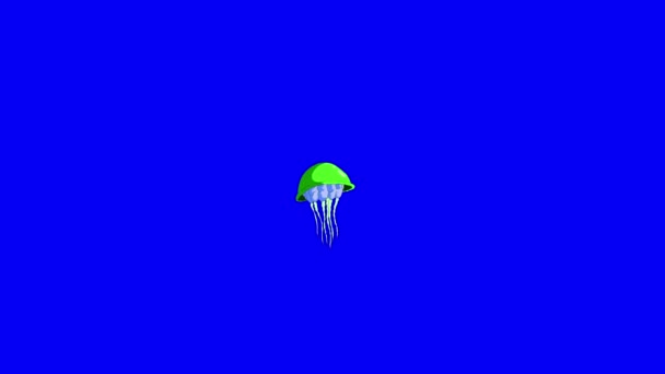 Yeşil Denizanası Krom Anahtarı Yüzer Mavi Ekranda Yapımı Görüntüler Izole — Stok video