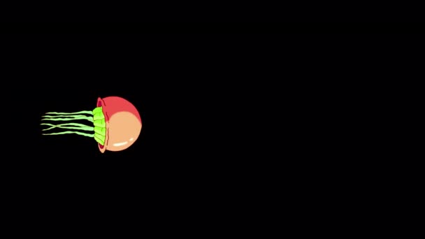 Красочные Медузы Плавают Ручной Анимационный Зацикленный Материал Изолированный Альфа Канале — стоковое видео
