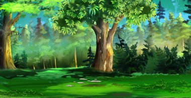 Bir yaz gününde ormandaki ağaçlar. Dijital Boyama Arkaplanı, Resimler.