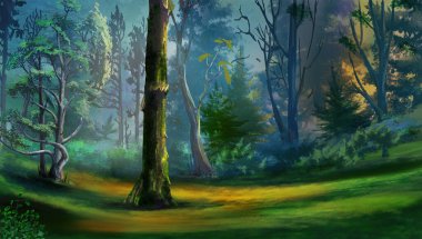 Bir yaz gününde ormandaki ağaçlar. Dijital Boyama Arkaplanı, Resimler.