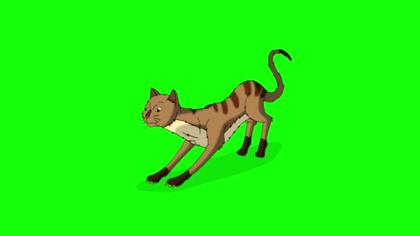 Red Tabby Cat Schärft Seine Krallen Chroma Key Handgemachtes Animiertes — Stockvideo