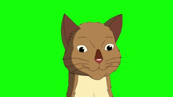 Red Tabby Cat Мяу Крупным Планом Хрома Ключ Ручной Анимационный — стоковое видео
